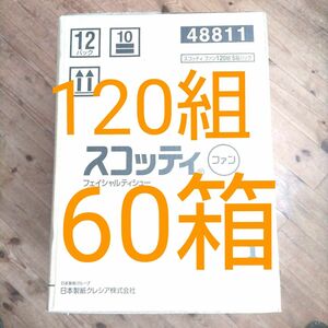 クレシア スコッティ ファン fun ティッシュペーパー 120組 60箱