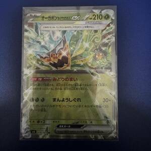 【1円スタート】 ポケモンカード 変幻の仮面 SV6 オーガポン みどりのめん ex RR