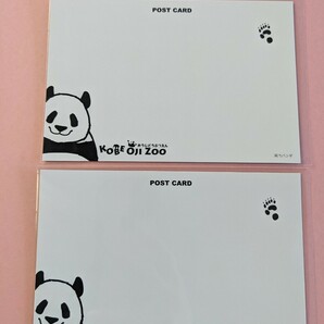 タンタン 定規 スケール ポストカード2枚 王子動物園 パンダの画像4