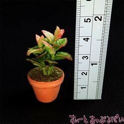 クリックポスト可 ミニチュア　観葉植物の鉢植え　その１　SMPLN37　ドールハウス用