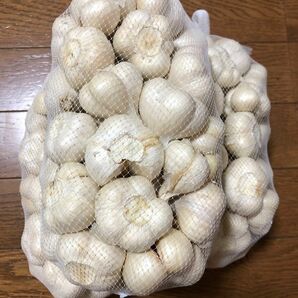 青森県産　にんにく　福地ホワイト六片　S 1kg