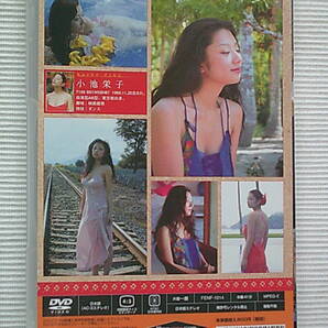 小池栄子 DVD 【 Far East 】ポストカード付の画像2