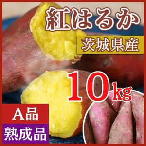 【熟成品】 10kg さつまいも 紅はるか 茨城県産 産地直送 あまい