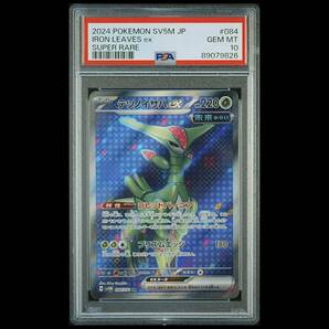 ポケモンカード 2024年 #084 テツノイサハ ex Iron Leaves ex SR PSA 10 Scarlet & Violet SV5M スカーレット バイオレット キラの画像1