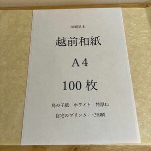 越前和紙　鳥の子　ホワイト　特厚口　A4 100枚