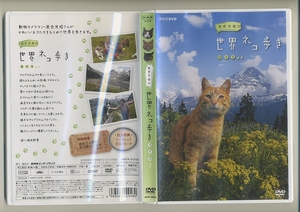 DVD★岩合光昭の世界ネコ歩き スイス NHK アルプス 相武紗季 猫 ねこ