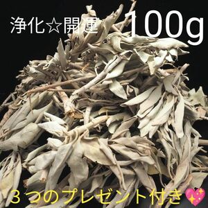 ★限定特選品★無農薬カリフォルニア産【箱配送100g 高品質ホワイトセージ】☆