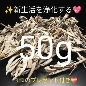 ★限定特選品★無農薬カリフォルニア産【箱配送５０g 高品質ホワイトセージ】☆