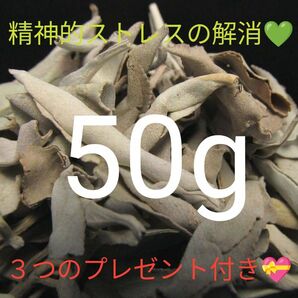 ★特選新入荷★無農薬カリフォルニア産【箱配送50g高品質ホワイトセージ】☆