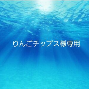 りんごチップス様専用 ベージュふちのみ ランドセルカバー