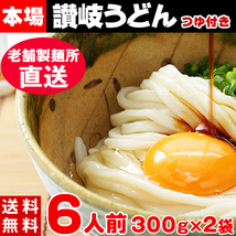 讃岐うどん ざるうどん セール お試し 讃岐 特性ダシ醤油6袋付き 6食分 600g（300g×2袋）〔メール便出荷〕_画像1