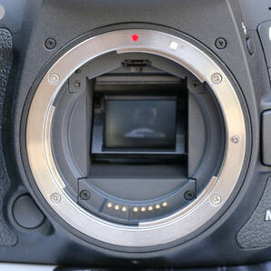 美品 キヤノン Canon EOS 7D Mark II オマケ多数付の画像9