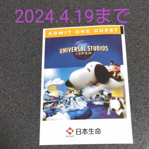 ユニバーサルスタジオジャパン パートナーパス 大人2024.4.19まで