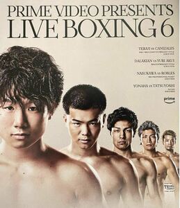 【那須川天心】LIVE BOXING 6 パンフレット