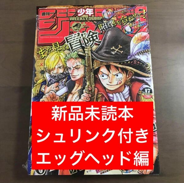 【週刊少年ジャンプ 2024年17号】ワンピース ONE PIECE エッグヘッド編 巻頭カラー 4月8日号