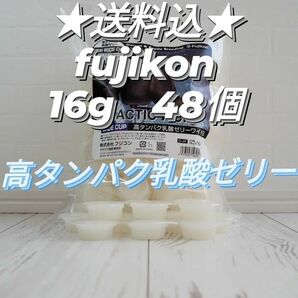 フジコン製昆虫ゼリー　高タンパク乳酸ゼリーワイドS　16g　48個