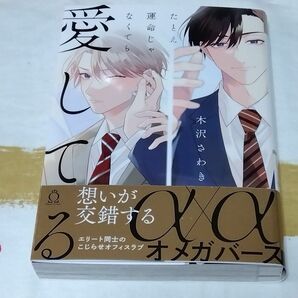 たとえ運命じゃなくても愛してる　/木沢さわき