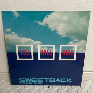 Sweetback Featuring Amel Larrieux You Will Rise / chill