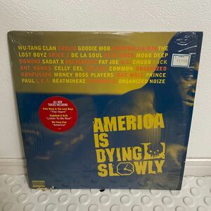 America Is Dying Slowly / Pete rock / https://youtu.be/Taq8frmq40Y?si=0qoQ1j4GqgFdUuMb