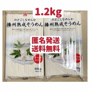 播州熟成そうめん　600g×2個 クーポンポイント消化　匿名発送　送料無料