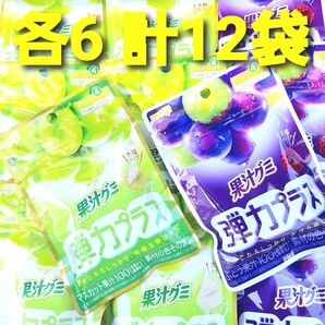 ★２種各６袋 計１２袋★ 袋明治　果汁グミ　弾力プラス　マスカット　ぶどう　果汁１００　大粒タイプ　マスカットグミ　ぶどうグミ