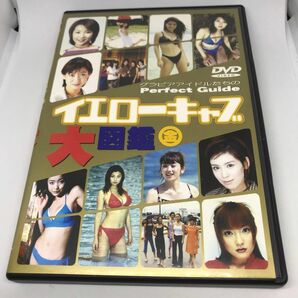 《激レア》イエローキャブ大図鑑 金 イメージ 細川ふみえ かとうれいこ 雛形あきこ 小池栄子 佐藤江梨子 他 グラビア アイドル