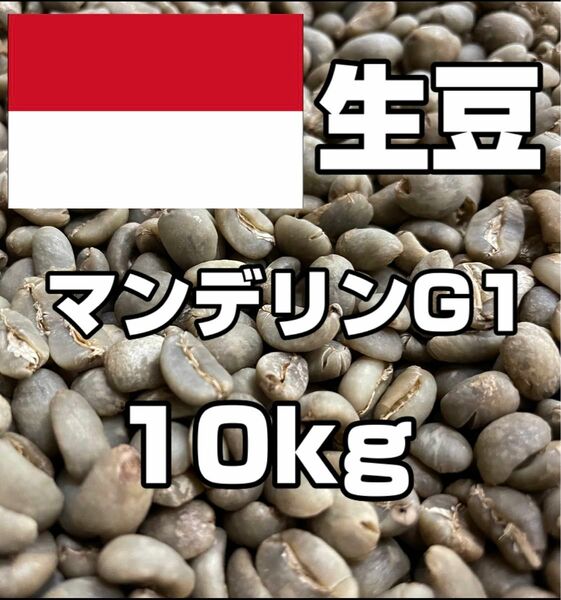 【コーヒー生豆】マンデリンG1　10kg　 ※送料無料！