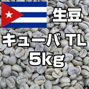 【コーヒー生豆】キューバ TL　5kg 　※送料無料