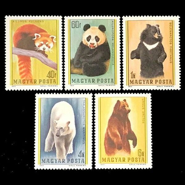 k5301 レッサーパンダ、熊など ハンガリー 1977年 外国切手5種 未使用【動物切手 古切手 海外切手】蒸気猫パーツ