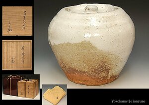 星庵厳選企画　裏千家十四代淡々斎書付　十代三輪休雪休和作　白萩水指　共箱雪