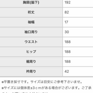 【antiqua pattern torso】アンティカ パターントルソー / ゆるっとラフに着られてこなれる切替えドットシャツワンピース。の画像10