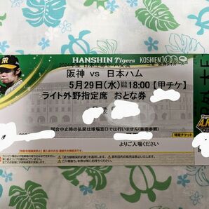 5月29日(水) 甲子園球場 阪神タイガース×日本ハム チケット ライト外野席 大人1枚