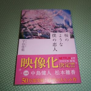 中島健人　桜のような僕の恋人　文庫本　Netflix