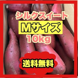 Mサイズ 10kg シルクスイート さつまいも,さつま 芋 野菜