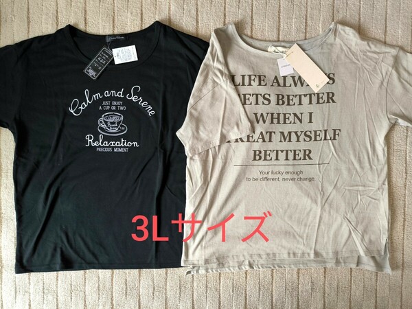 ☆未使用！ 半袖Tシャツ 3Lサイズ☆レデース 2枚セット☆大きいサイズ ☆トップス