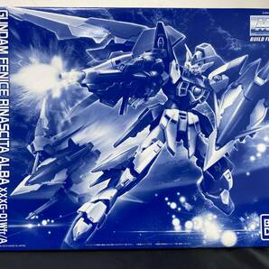 未使用品セット プレミアムバンダイ限定 MG 1/100 MSV-R ジョニー・ライデン専用ゲルググ MG 1/100 ガンダムフェニーチェリナーシタアルバの画像6