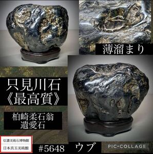 【信濃美術石博物館】水石 盆栽 《最上質》只見川石 湖沼石 溜まり石 骨董盆石古美術鑑賞石観賞石太湖石中国古玩 5648