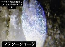 【日本真玉美術館】 [プレミアムオークション］超波動エネルギー鉱物 ijs00002212 1.8kg 不眠症 鉱物宝石 縁起物 邪気祓い 水石鑑賞石原石_画像4