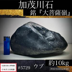 【春の大謝恩特売】 水石 盆栽 加茂川石 ウブ 銘『大菩薩嶺』 10kg 骨董盆石古美術鑑賞石観賞石太湖石中国古玩 5729