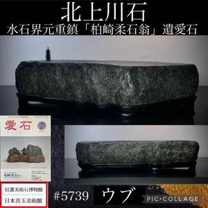 【信濃美術石博物館】水石 盆栽 北上川石 ウブ 横33.5(cm)6.14kg骨董盆石古美術鑑賞石観賞石太湖石中国古玩 5739