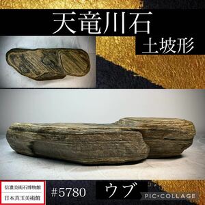 【信濃美術石博物館】 水石 盆栽 天竜川石 土坡形 ウブ 横22×高4.5×奥行7(cm) 1.56kg骨董盆石古美術鑑賞石観賞石太湖石中国古玩 5780