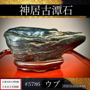 《GW感謝祭》水石 盆栽 神居古潭石 ウブ 横19.5×高10×奥行7(cm) 1.7kg骨董盆石古美術鑑賞石観賞石太湖石中国古玩 5786