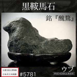 《GW感謝祭》 水石 盆栽 黒鞍馬石 ウブ『醜鶩』 横16×高11×奥行12(cm)2kg 骨董盆石古美術鑑賞石観賞石太湖石中国古玩 5781