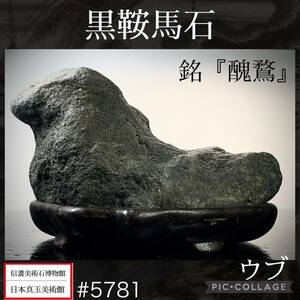 {GW Thanksgiving } suiseki st bonsai black saddle horse stone ub[..] width 16× height 11× depth 12(cm)2kg antique tray stone old fine art appreciation stone .. stone futoshi lake stone China old .5781