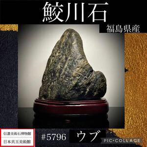 《GW感謝祭》水石 盆栽 鮫川石 ウブ 横15.5×高19×奥行6.5(cm) 2.12kg骨董盆石古美術鑑賞石観賞石太湖石中国古玩 5796