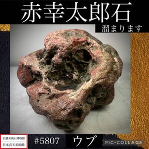 《GW感謝祭》水石 盆栽 赤幸太郎石 ウブ 横17×高16(cm) 2.9kg骨董盆石古美術鑑賞石観賞石太湖石中国古玩 5807の画像1