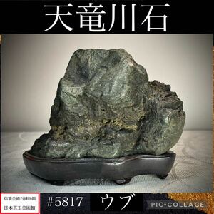 《GW感謝祭》水石 盆栽 天竜川石 ウブ 横12.5×高11(cm) 880g骨董盆石古美術鑑賞石観賞石太湖石中国古玩 5817