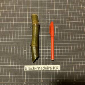 【送料無料】イチジク （太）穂木 ブラックマデイラKK 径22〜23mm 挿し穂の画像1