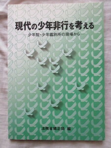 現代の少年非行を考える 少年院・少年鑑別所の現場から 法務省矯正局・編