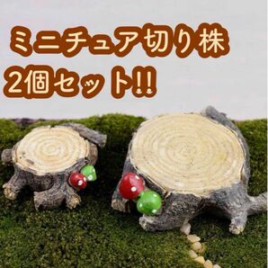 ミニチュア　置き物　2個　DIY ガーデニング　テラリウム　鉢植え　苔　園芸　人形　フィギュア　小さい　ミニマム　飾り